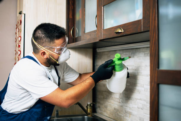 Best Mosquito Control Services  in North Bend, NE